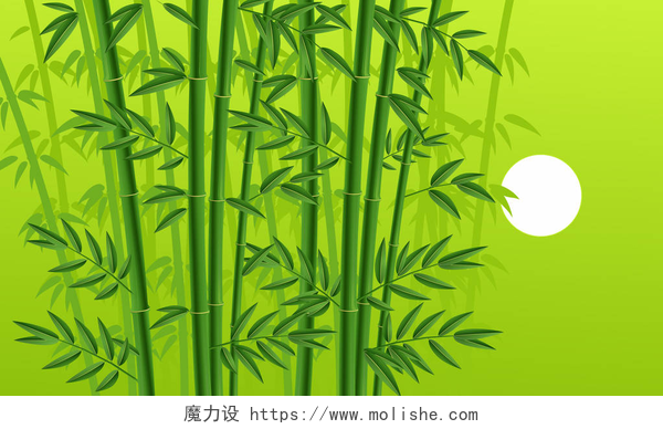 绿色背景上的竹林白色背景下的竹林图解